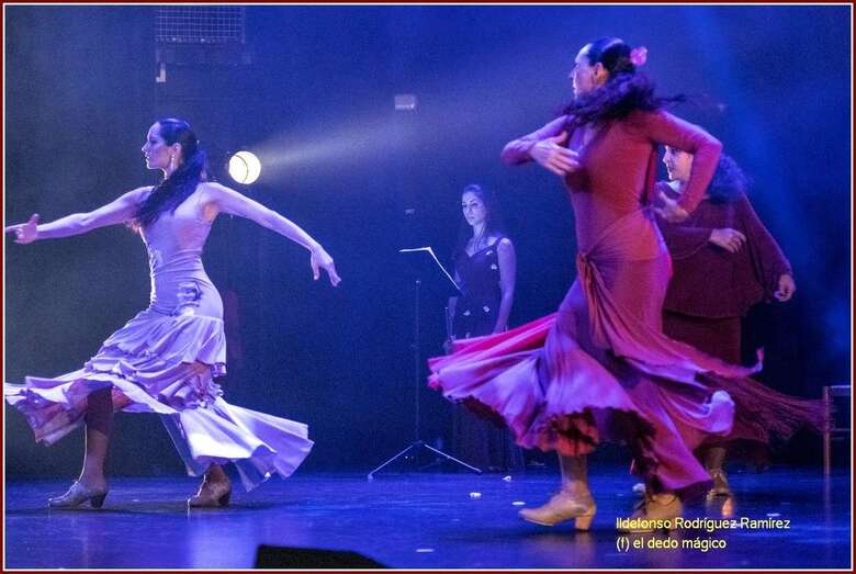 Momento del espectáculo de anoche/TA.